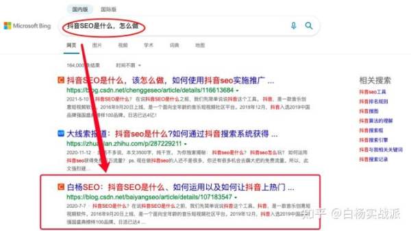 白杨SEO：360、搜狗、必应搜索引擎排名机制与网站搜索引擎优化怎么做？(图9)