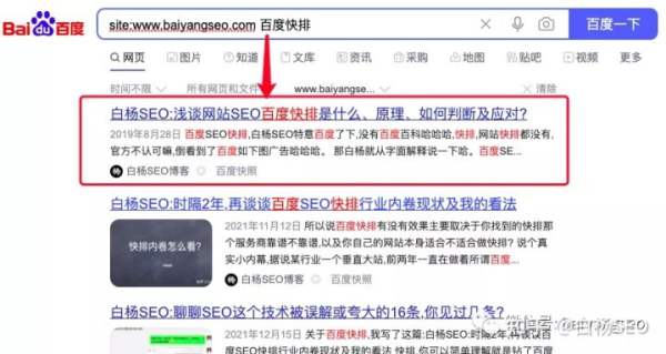 白杨SEO：刷百度下拉框与点击快排原理是什么？网站做快排被降权怎么办？(图6)