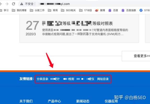 白杨SEO：白帽seo怎么优化？传统B2B企业SEO批量建站优化思路拆解！(图20)