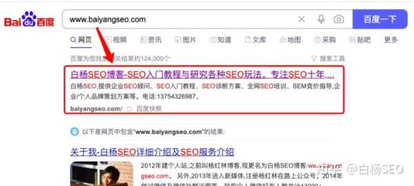 白杨SEO：新网站如何让百度加速收录？除了提交还有哪些方法？(图1)