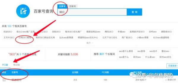 白杨SEO：百家号SEO是什么？百家号怎么引流？(图11)