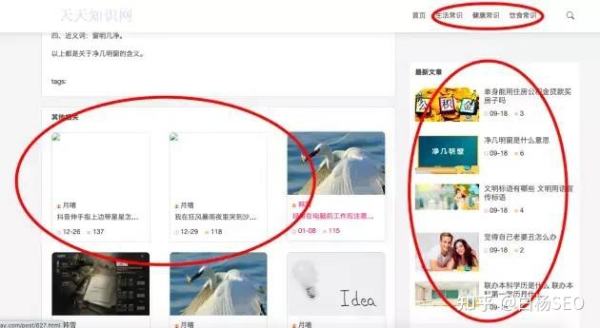 某网站SEO案例，网站无外链，仅半年日均IP近10万，为什么？(图9)